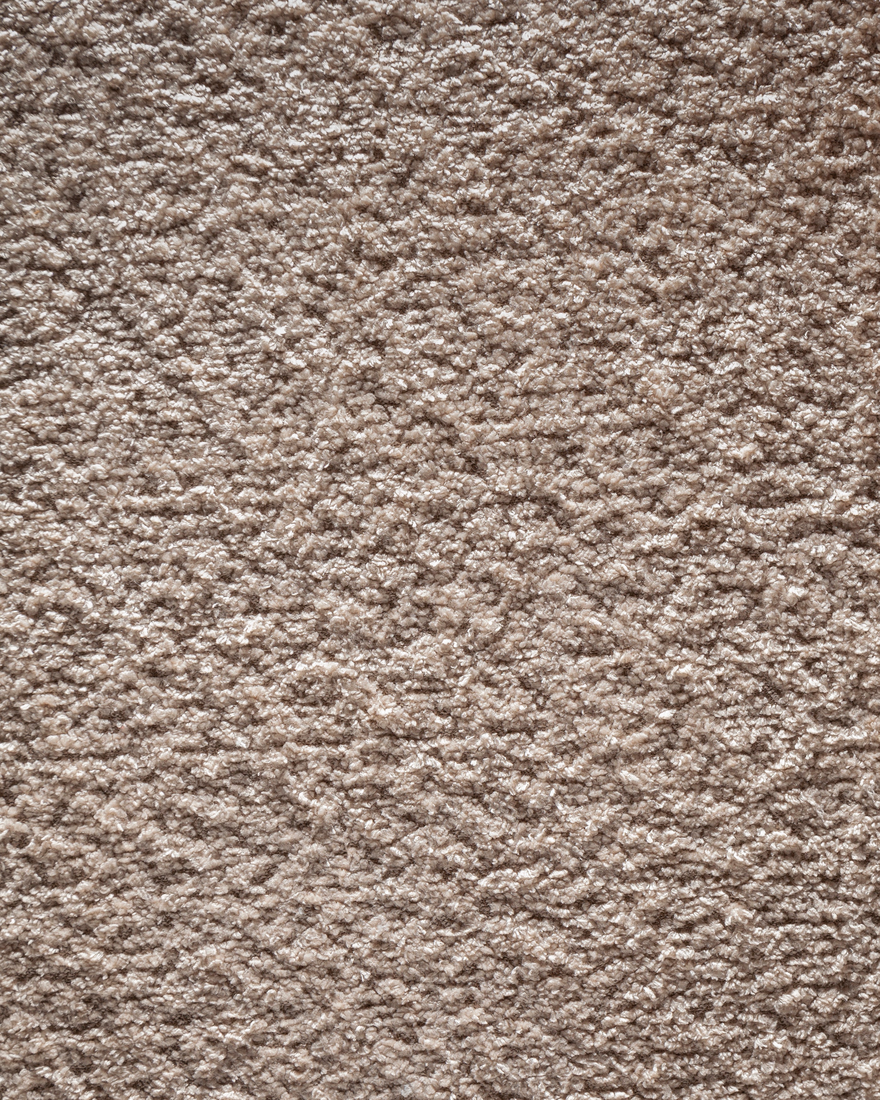 Anthology Beige Fabric Swatch 10 x 15 cm - Product View