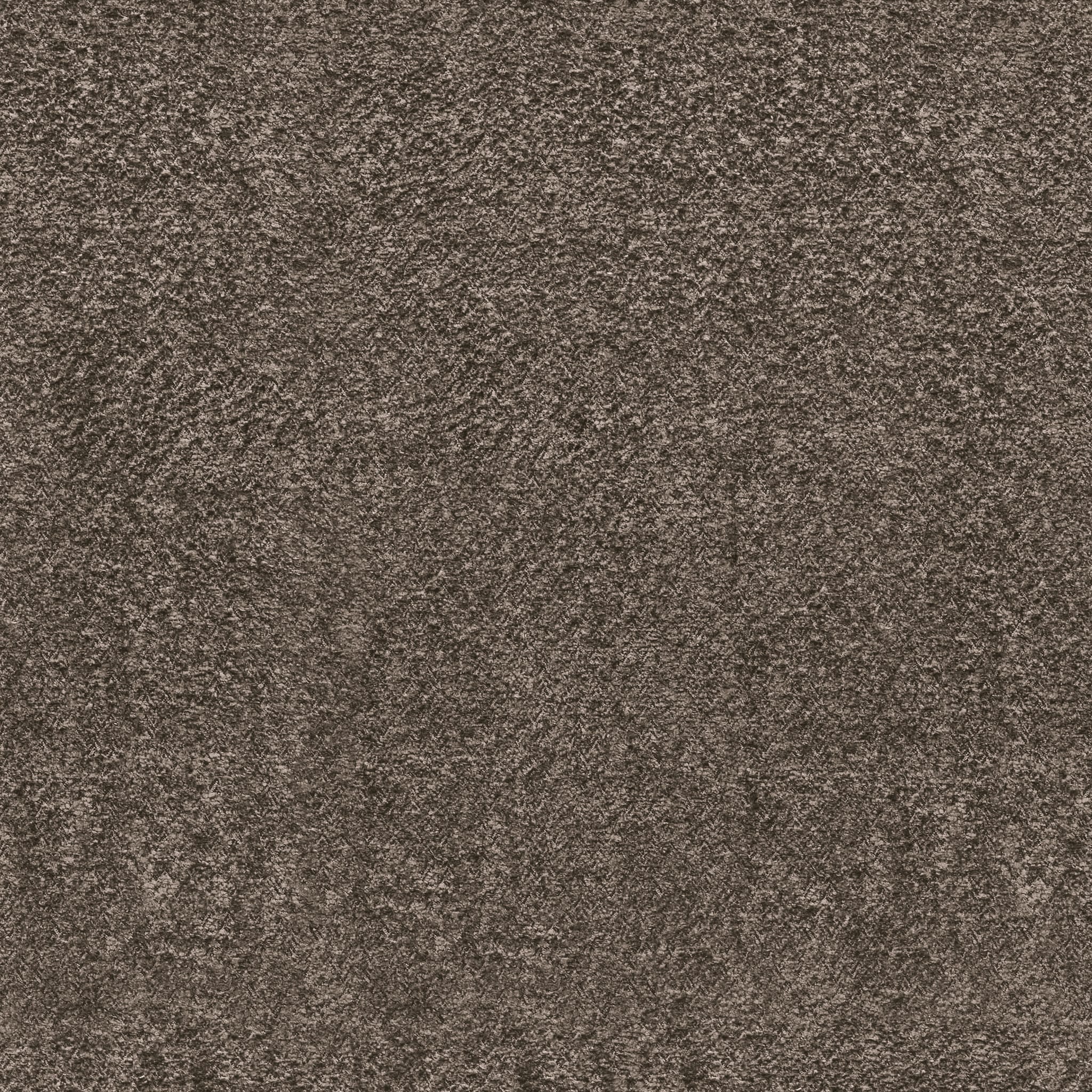 Anthology Brown Fabric Swatch 10 x 15 cm - Product Image