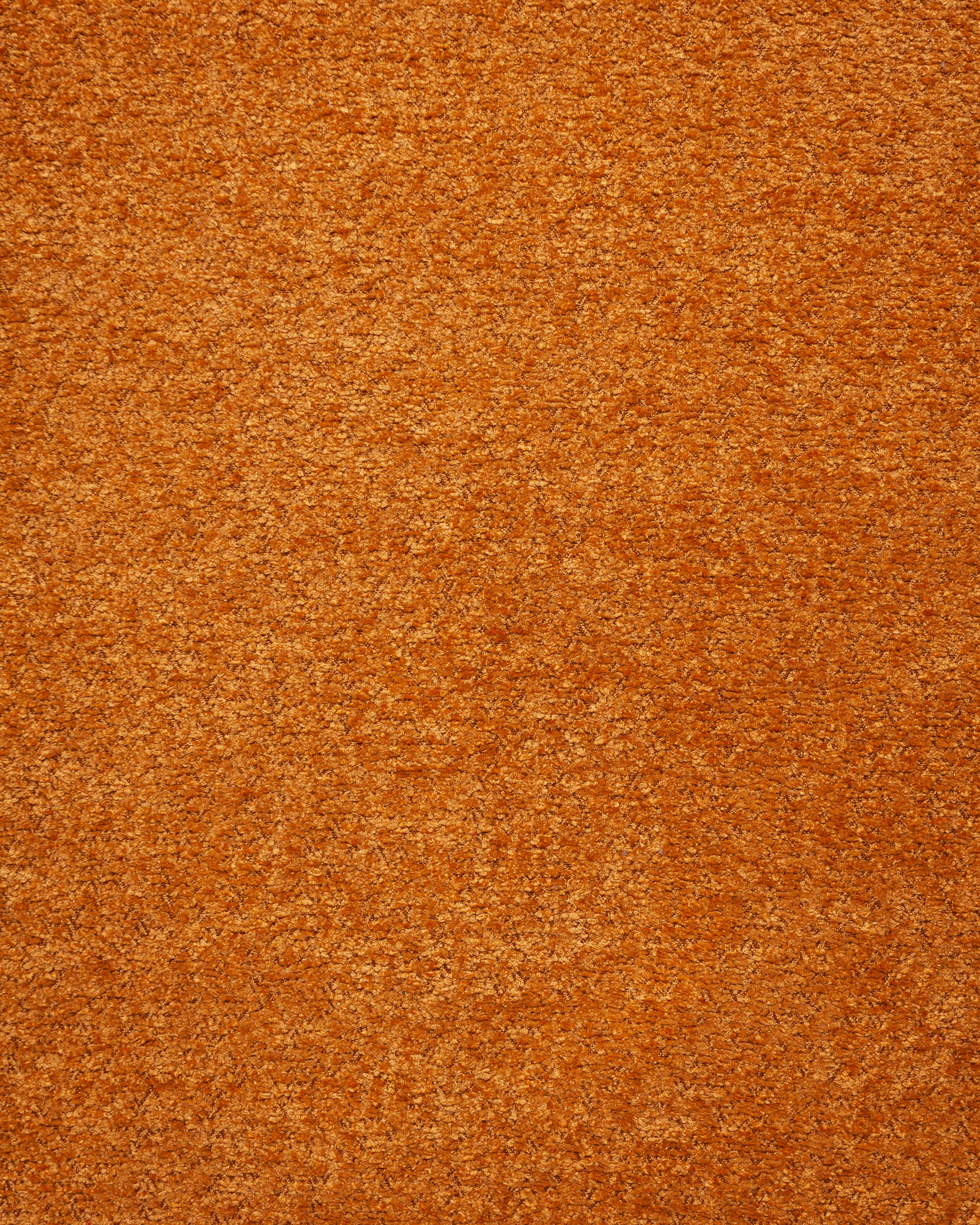 Anthology Mustard Fabric Swatch 10 x 15 cm - Product View