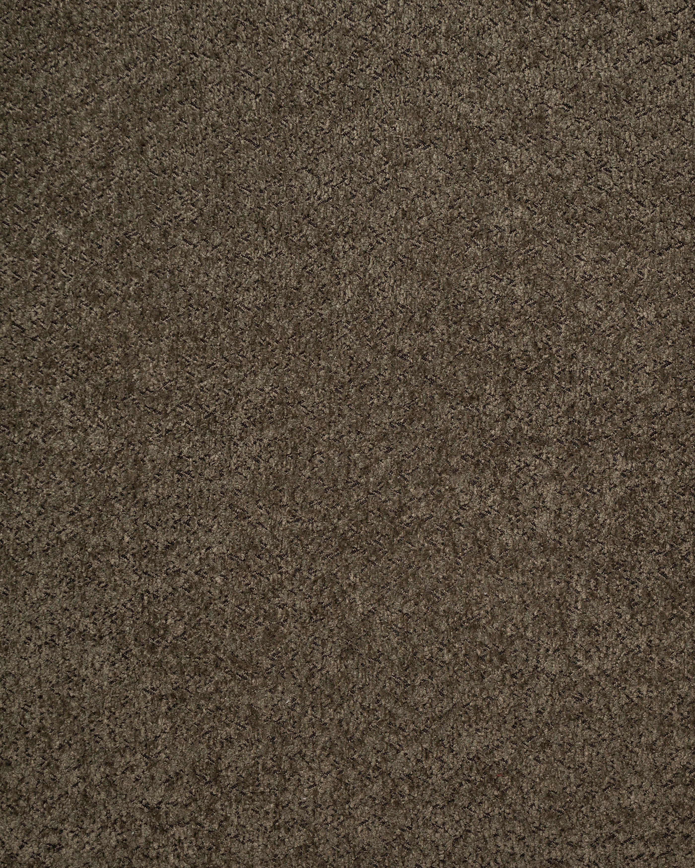 Anthology Dark Green Fabric Swatch 10 x 15 cm - Product View