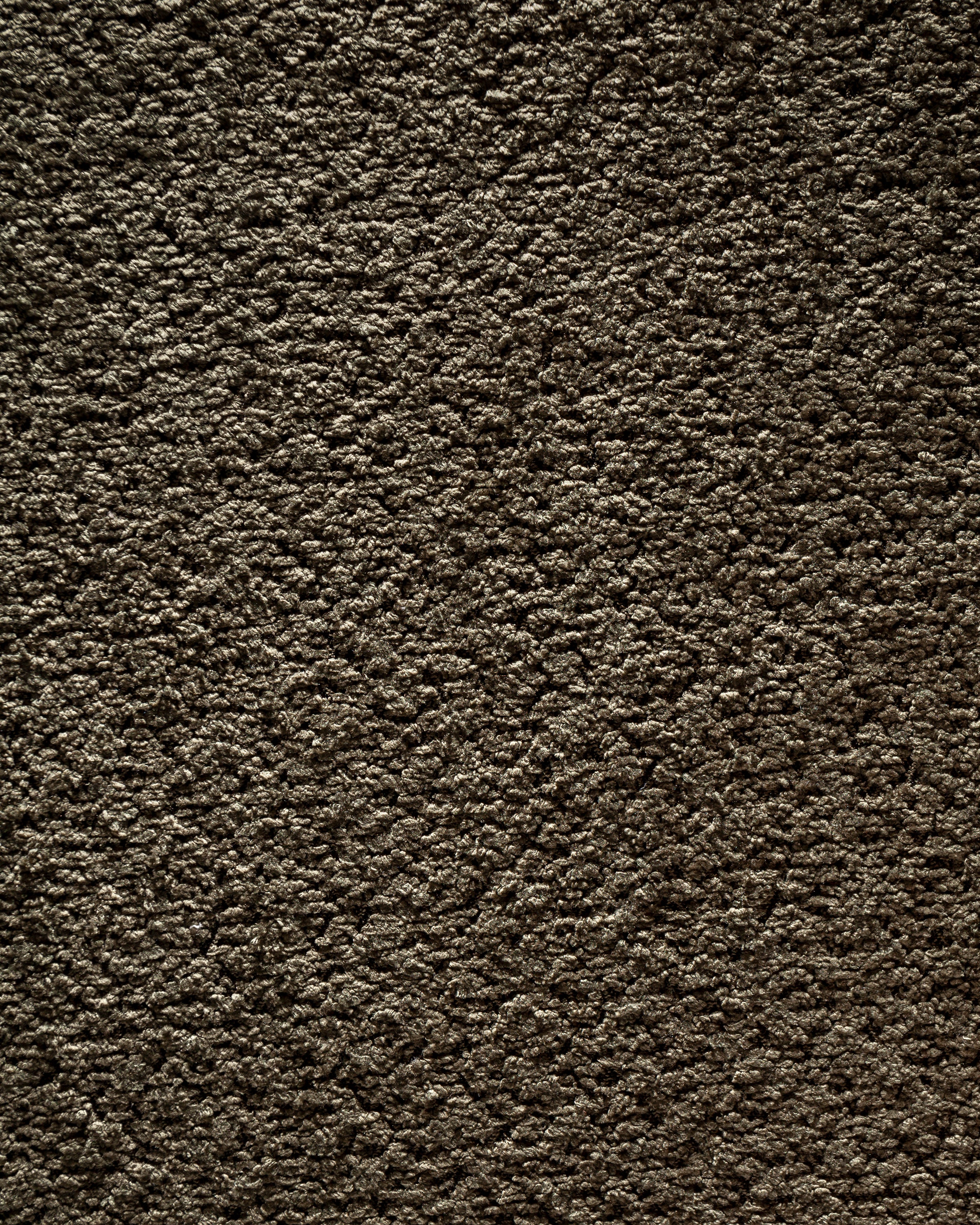 Anthology Dark Green Fabric Swatch 10 x 15 cm - Product View