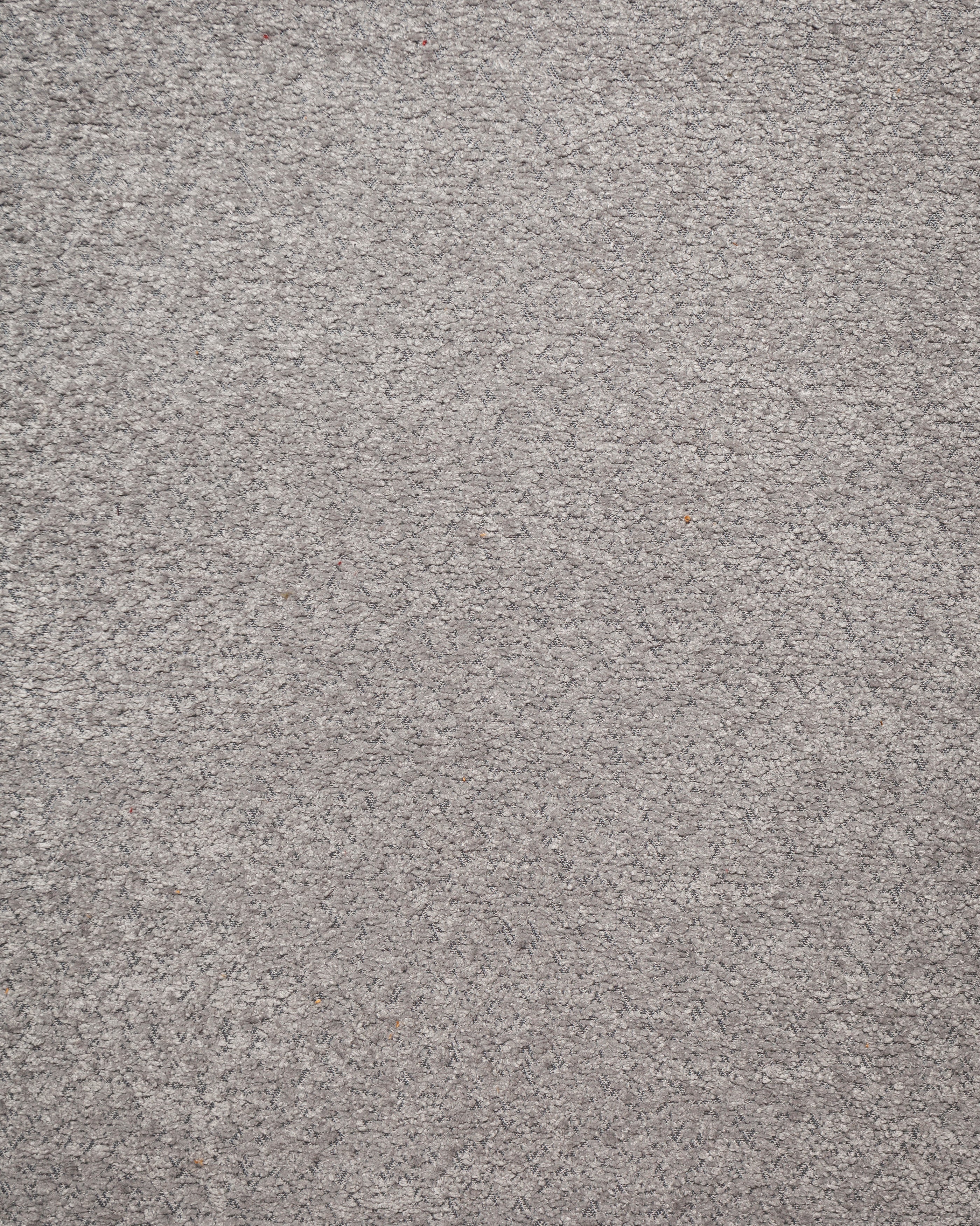Anthology Light Grey Fabric Swatch 10 x 15 cm - Product View