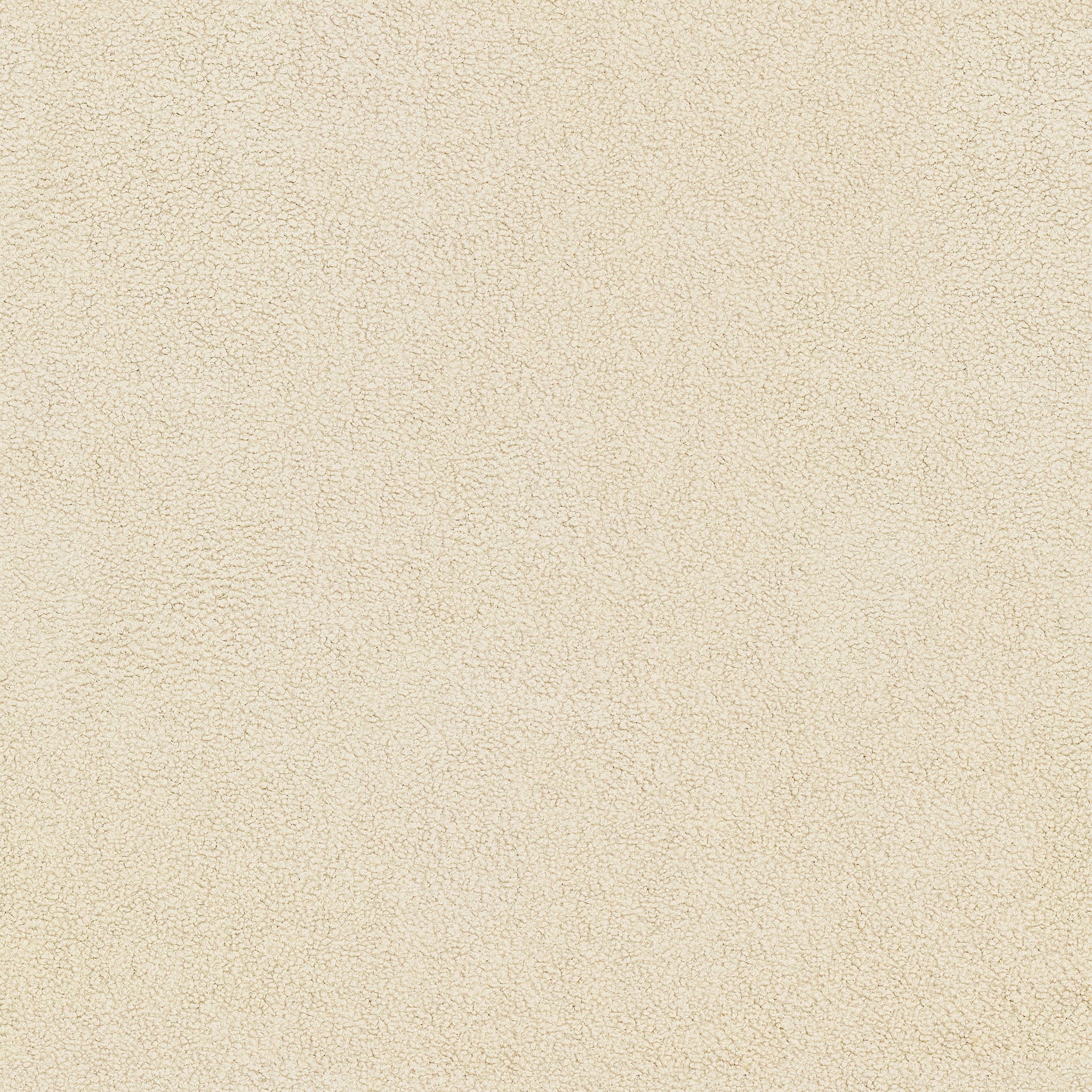 Himalaya Ivory Fabric Swatch 10 x 15 cm - Product Image