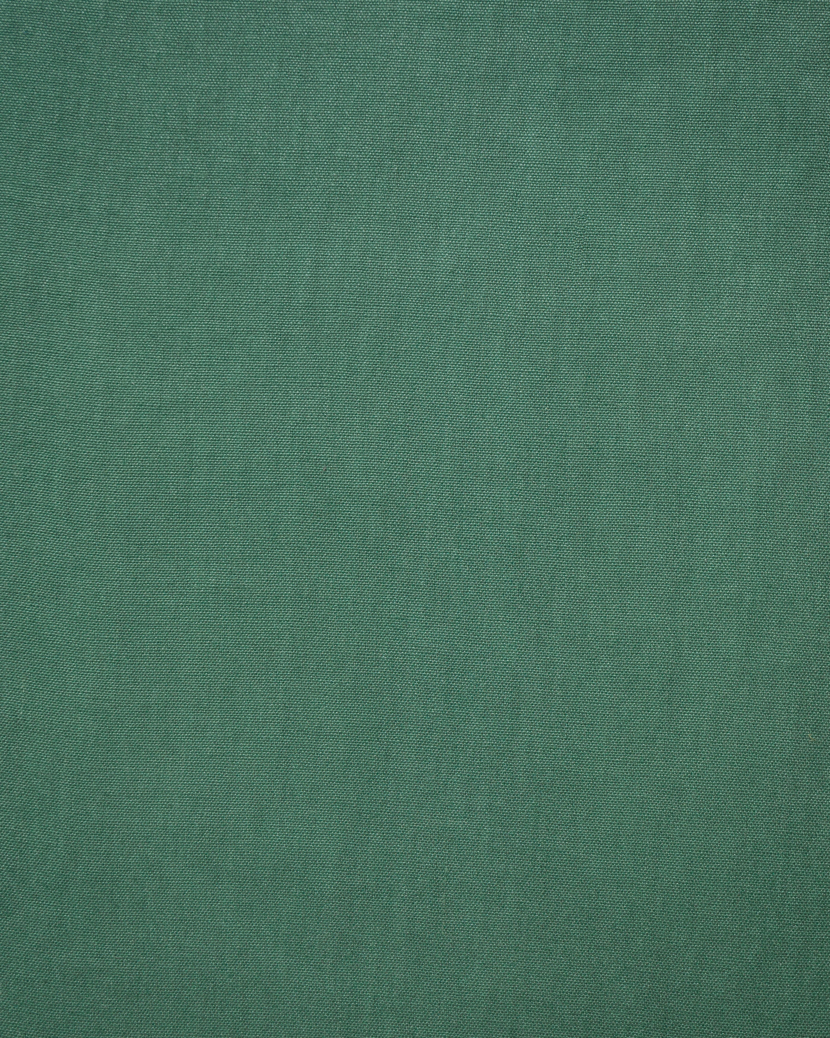 Planet Enzimi Light Green Fabric Swatch 10 x 15 cm - Product View