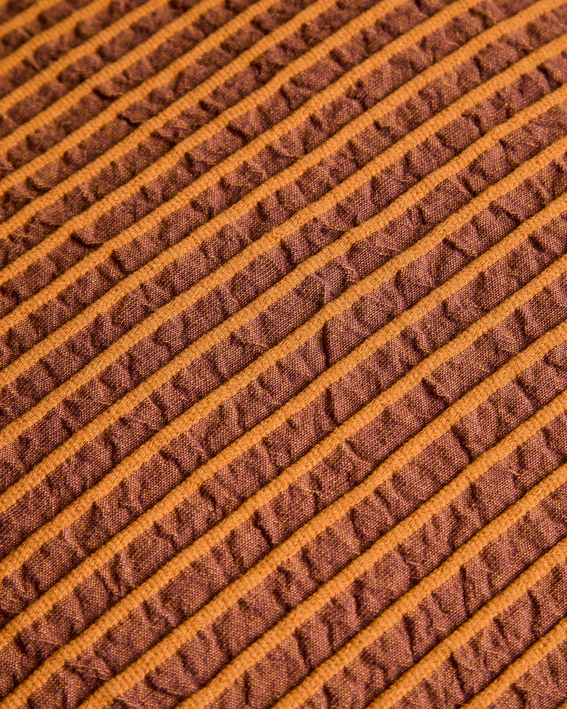X01501FN13_1D02