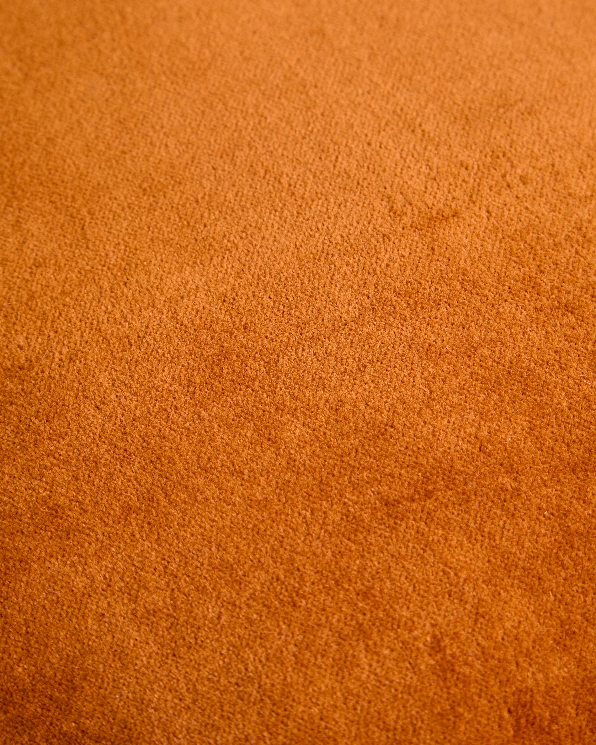 X01585FN13_1D02