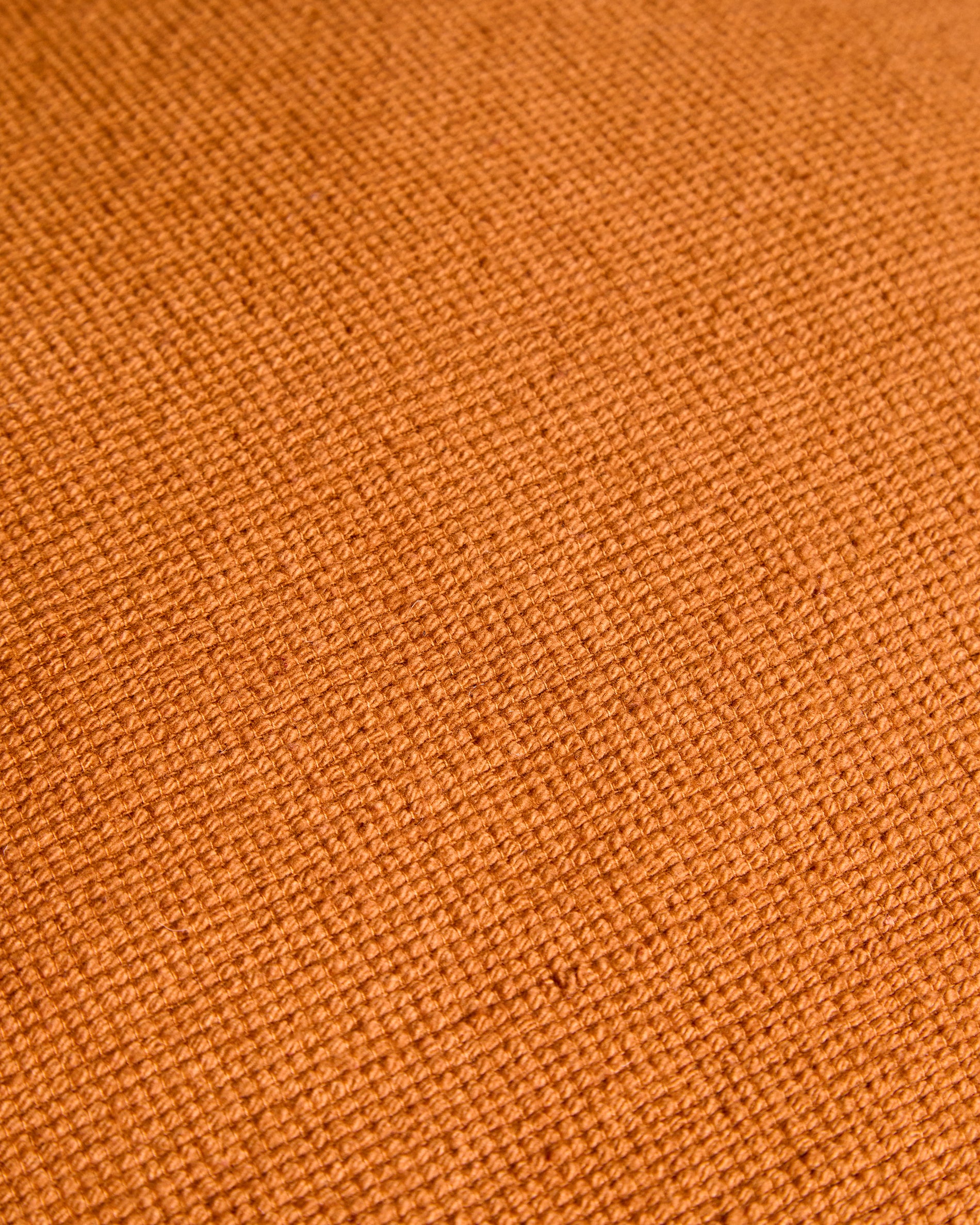 X01598FN13_1D02