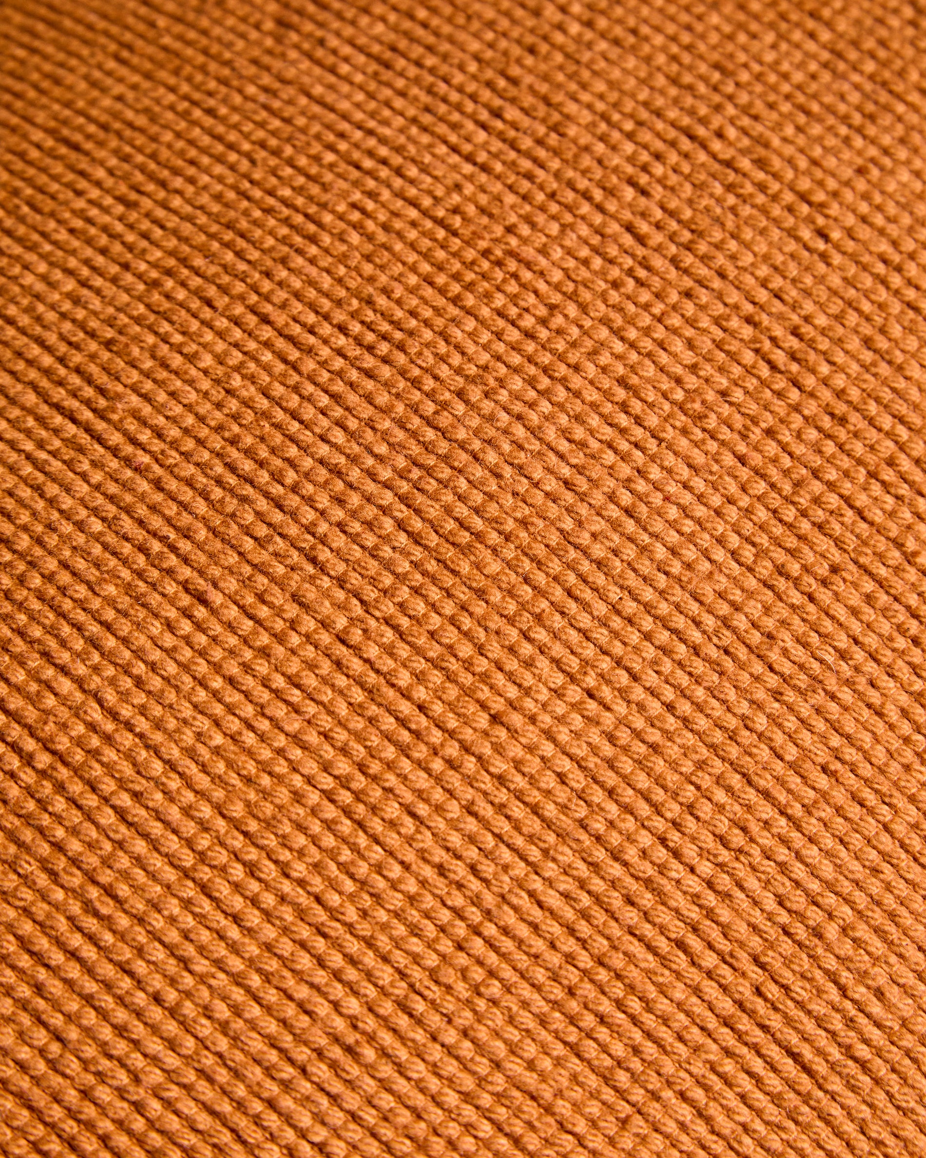 X01601FN13_1D02