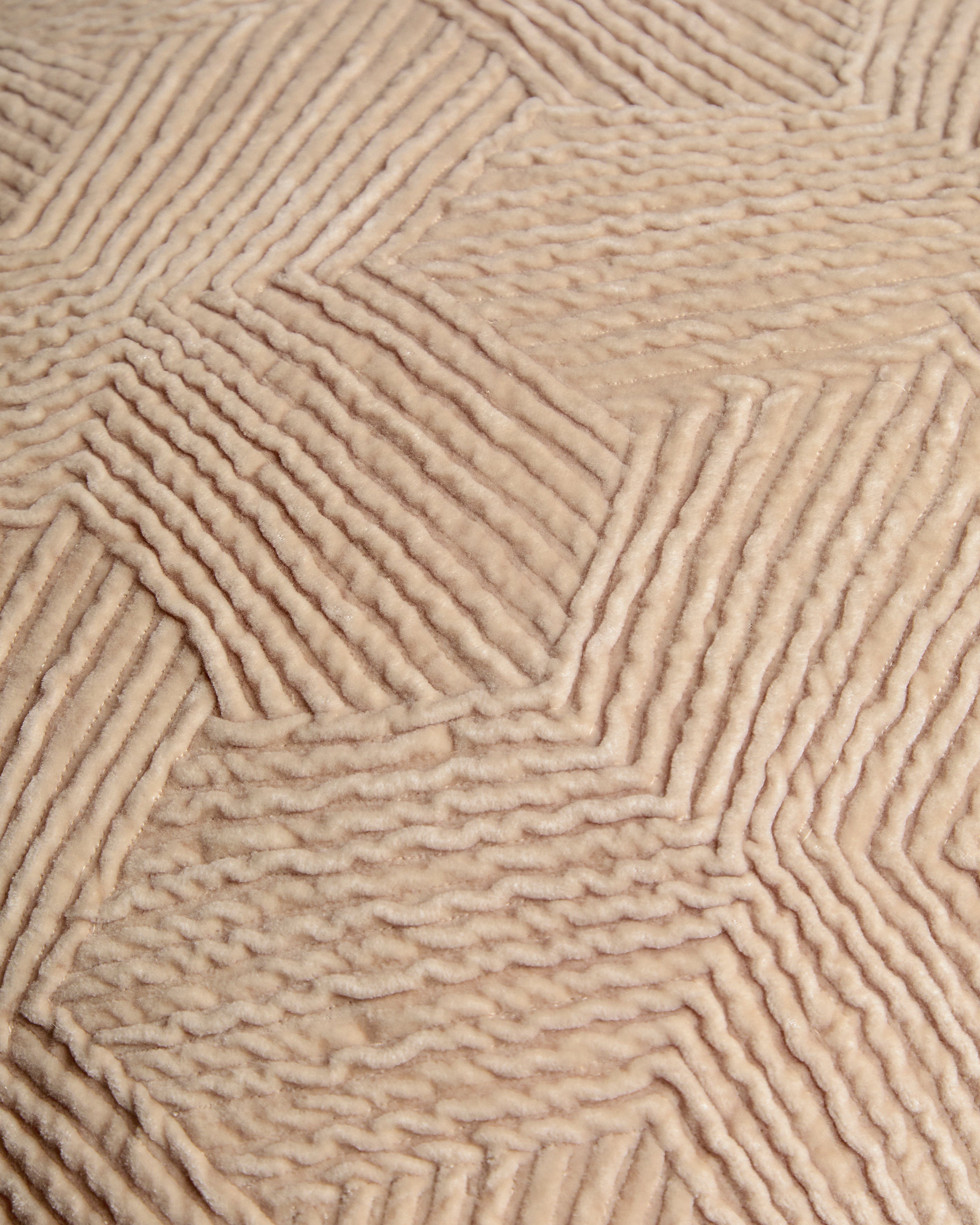 X01608FN39_1D02