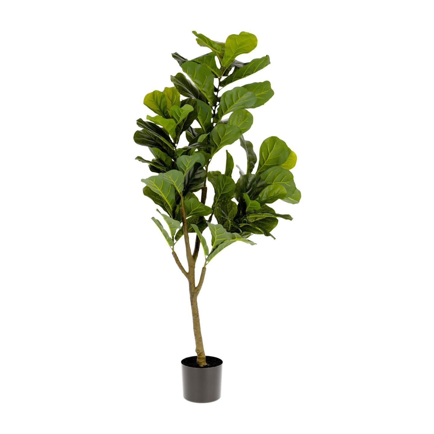 Ficus műnövény 150 cm