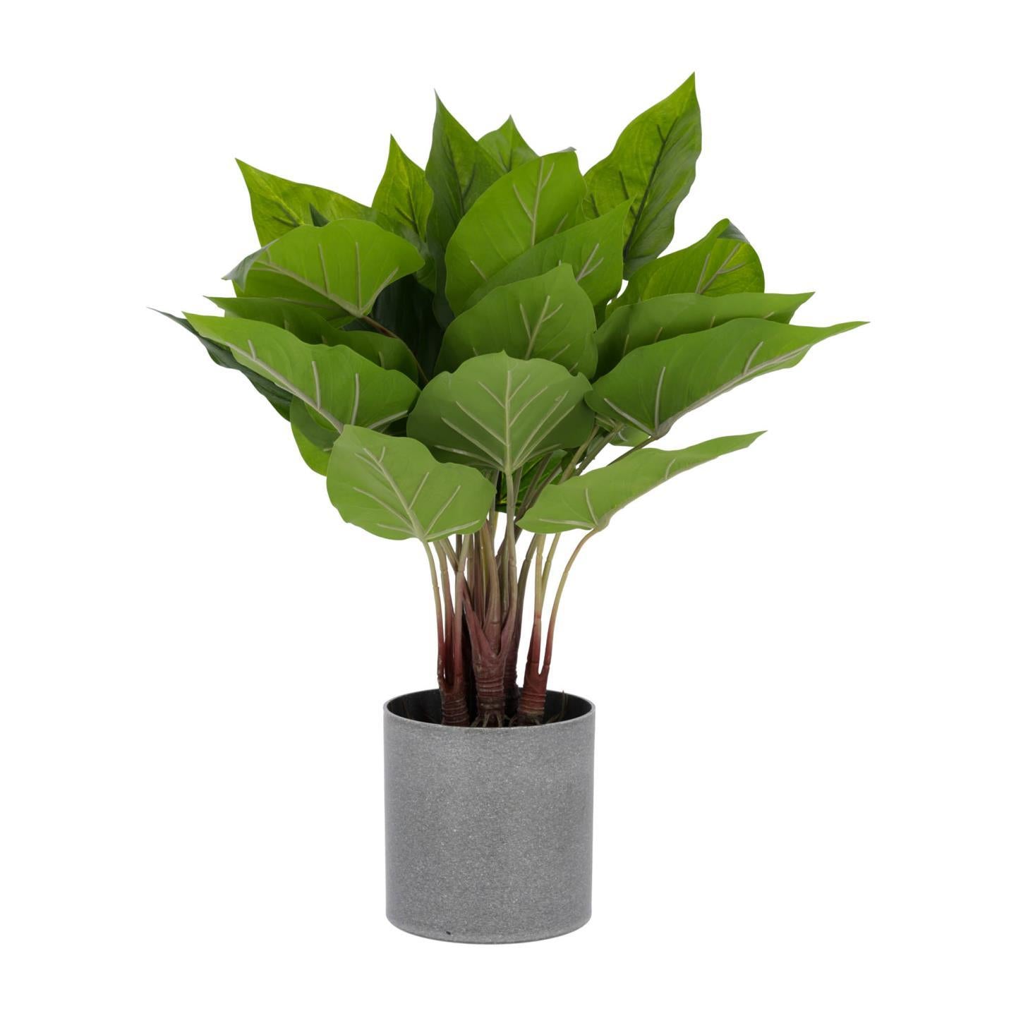 Anthurium artificial plant 50 cm